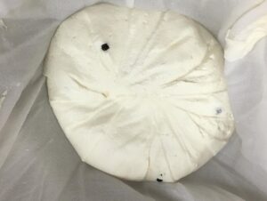 fresh wheel of cheese made from cheese class.