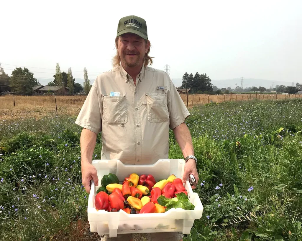 Ben Sessions with a box of freshly picked bell peppers from a local Sonoma farm
