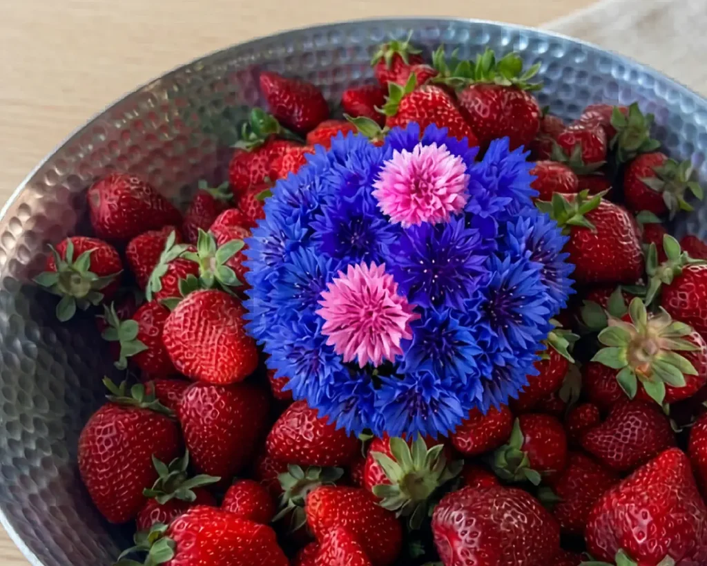 A bowl of freshly picked strawberries topped with blue and pink cornflowers